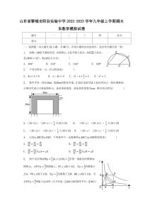 山东省聊城市阳谷实验中学2022-2023学年九年级上学期期末数学模拟试卷