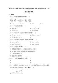 2022-2023学年黑龙江省齐齐哈尔市龙江县育英学校八年级（上）期末数学试卷