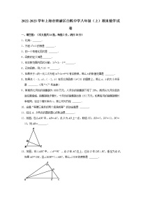 2022-2023学年上海市青浦区白鹤中学八年级（上）期末数学试卷