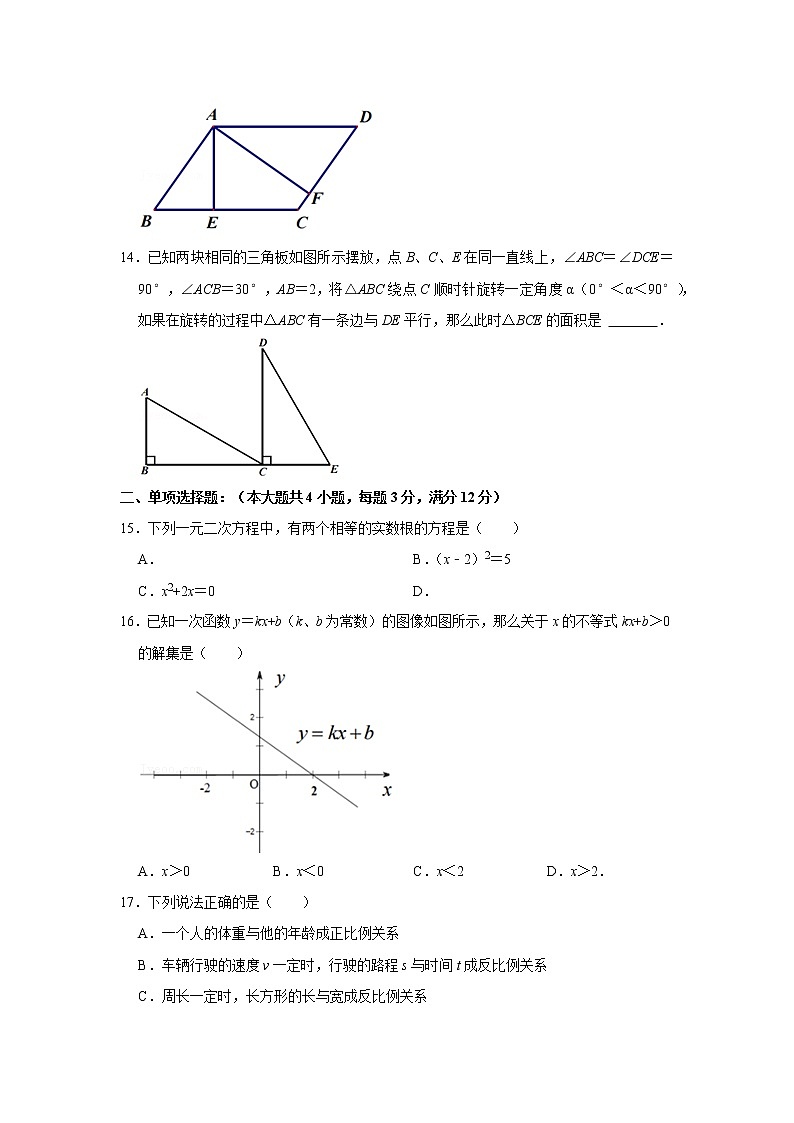 2022-2023学年上海市青浦实验中学八年级（上）期末数学试卷02