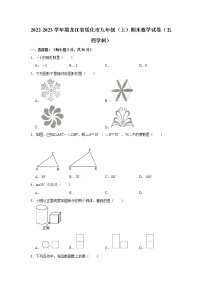 2022-2023学年黑龙江省绥化市九年级（上）期末数学试卷（五四学制）