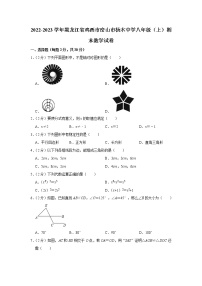 2022-2023学年黑龙江省鸡西市密山市杨木中学八年级（上）期末数学试卷