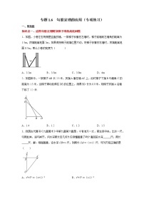 北师大版八年级上册3 勾股定理的应用课后复习题