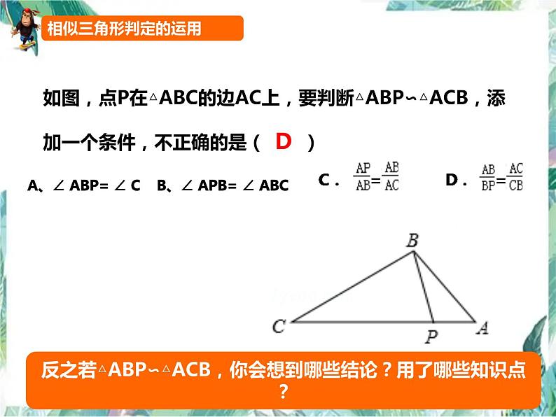 2022年北师大版 九年级数学上册 相似三角形（中考第一轮复习） 课件06