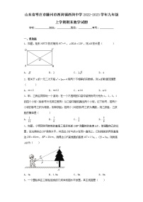 山东省枣庄市滕州市西岗镇西岗中学2022-2023学年九年级上学期期末数学试题