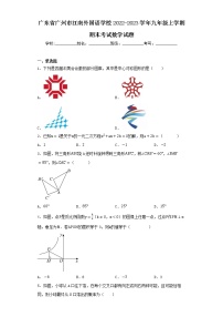 广东省广州市江南外国语学校2022-2023学年九年级上学期期末考试数学试题