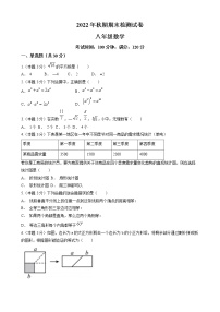 河南省南阳市宛城区宛城区汉冢中学2022-2023学年八年级上学期期末数学试题(含答案)