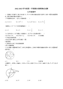 江苏省淮安市淮安曙光双语学校2022-2023学年九年级上学期期末数学试题(含答案)