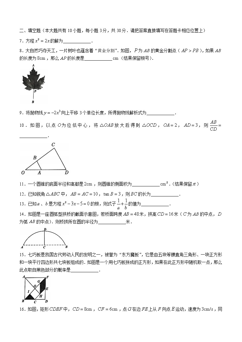 江苏省泰州市泰兴市2022-2023学年九年级上学期期末数学试题(含答案)02