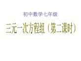 魯教版（五四制）數(shù)學七年級下冊7.5三元一次方程組課件