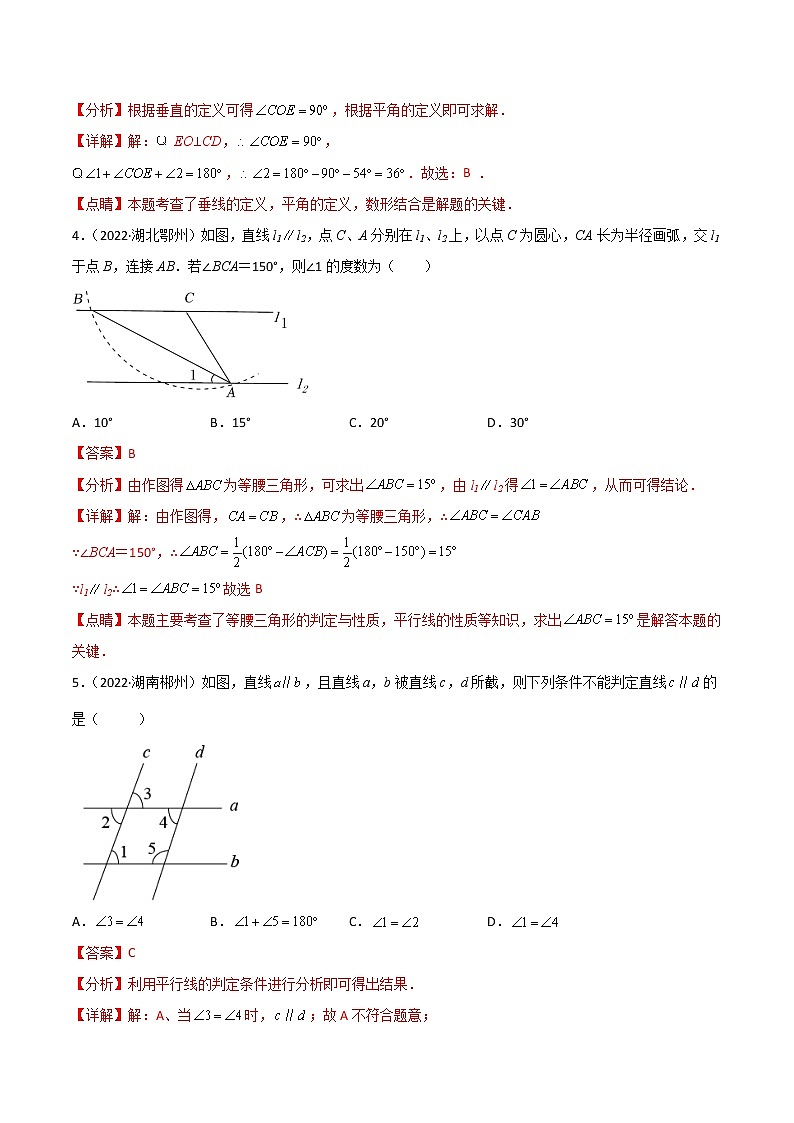 专题10 平行线与三角形-（老师版） 第3页