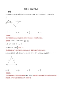 2022年中考数学分类汇编22讲专题13 相似三角形