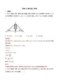 2022年中考数学分类汇编22讲专题14 解直角三角形