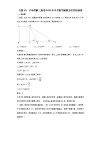 2023年中考集训20讲专题12：子母型解三角形