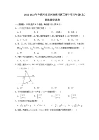 四川省达州市通川区兰桥中学2022-2023学年八年级上学期期末数学试卷(含答案)