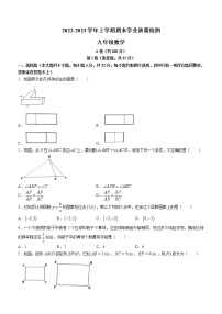 四川省成都市高新区2022-2023学年九年级上学期数学期末试题(含答案)