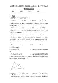 江苏省宿迁市南师附中宿迁分校2022-2023学年九年级上学期期末数学试题