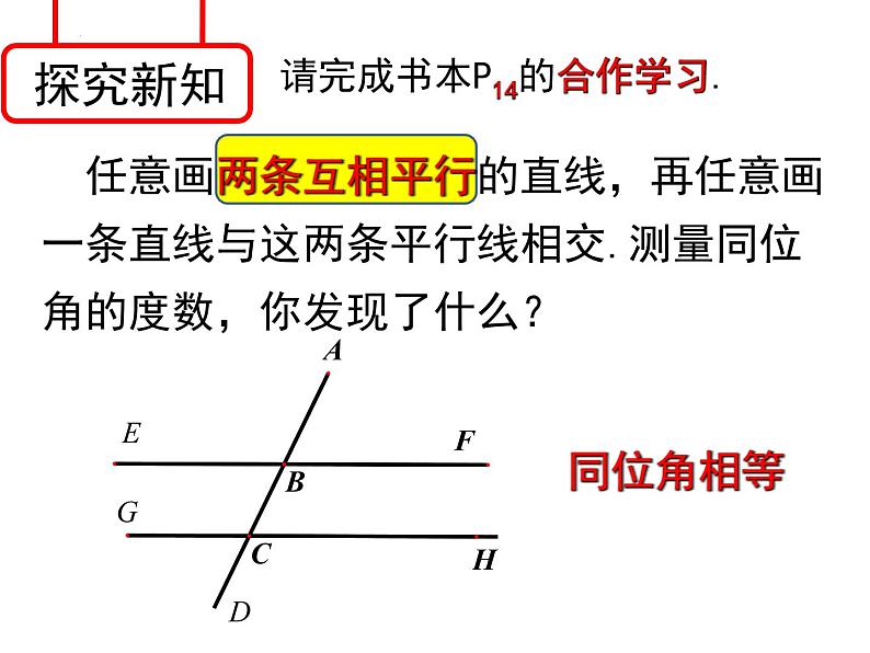 1.4 平行线的性质 浙教版数学七年级下册课件第4页