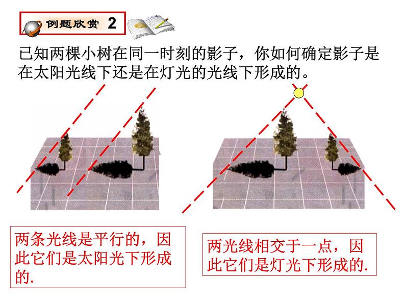 第3章 投影与三视图 浙教版_九年级下册复习课件06