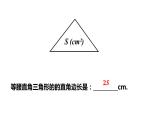 1.1 二次根式 浙教版数学八年级下册课件