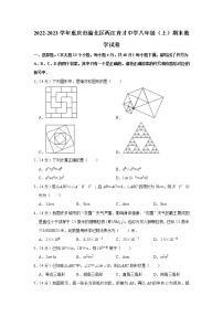 2022-2023学年重庆市渝北区两江育才中学八年级（上）期末数学试卷