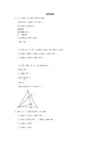 人教版八年级上册几何压轴题专项训练