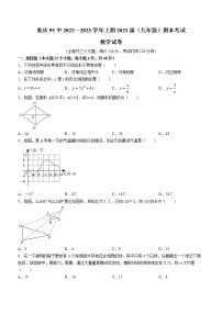 重庆市大渡口区九十五中佳兆业中学校2022-2023学年九年级上学期期末数学试题(无答案)