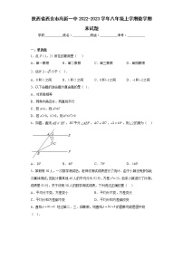 陕西省西安市高新一中2022-2023学年八年级上学期数学期末试题