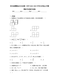 河北省邯郸市大名县第一中学2022-2023学年九年级上学期期末考试数学试题