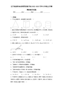 辽宁省沈阳市沈河区实验学校2022-2023学年七年级上学期期末数学试题