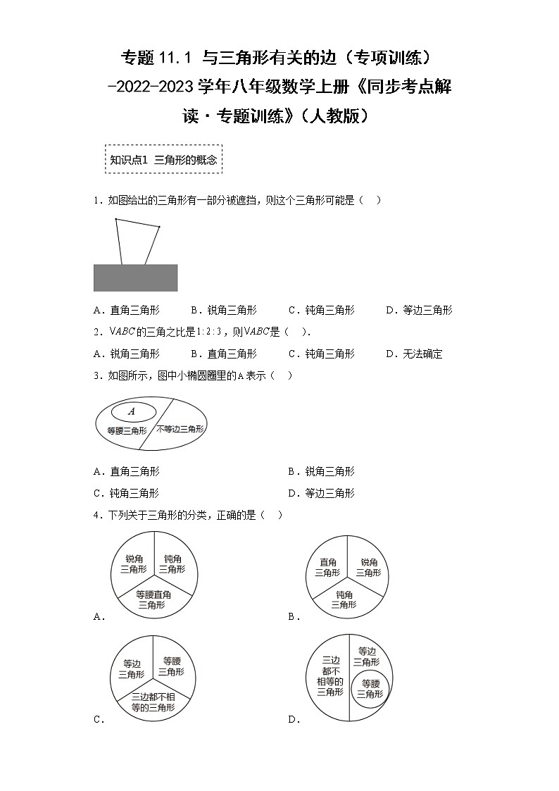 专题11.1 与三角形有关的边（专项训练）-2022-2023学年八年级数学上册《同步考点解读·专题训练》（人教版）01