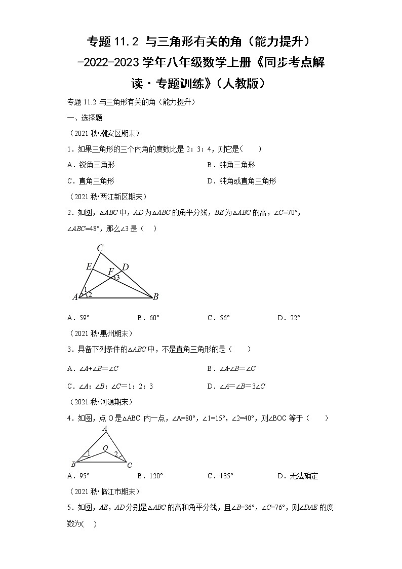 专题11.2 与三角形有关的角（能力提升）-2022-2023学年八年级数学上册《同步考点解读·专题训练》（人教版）01