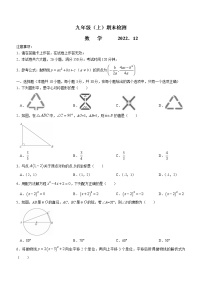 辽宁省大连市高新园区2022-2023学年九年级上学期期末考试数学试题(含答案)