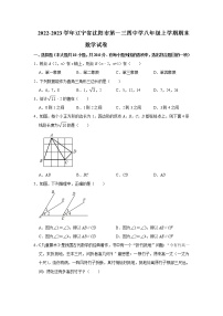 辽宁省沈阳市第一三四中学2022-2023学年八年级上学期期末数学试卷(含答案)