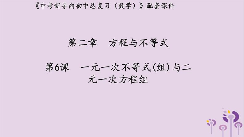 中考数学新导向复习第二章方程与不等式第6课一元一次不等式组与二元一次方程组课件（带答案）01