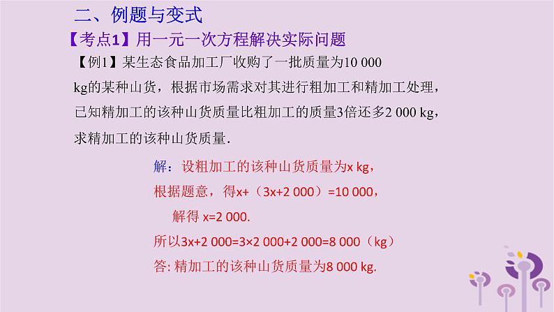 中考数学新导向复习第二章方程与不等式第8课方程与不等式的应用一课件（带答案）03