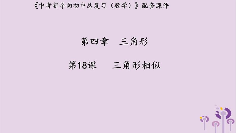 中考数学新导向复习第四章三角形第18课三角形相似课件（带答案）01