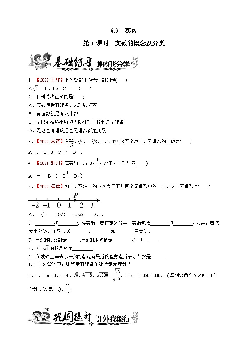 人教版数学七年级下册同步练习6.3.1　实数的概念及分类第1页