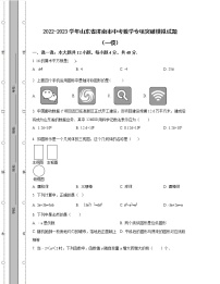 2022-2023学年山东省济南市中考数学专项突破模拟试题（一模二模）含解析