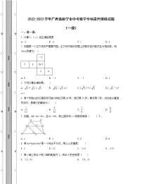 2022-2023学年广西省南宁市中考数学专项提升模拟试题（一模二模）含解析