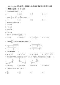 安徽省安庆市2021-2022学年七年级下学期期中数学试题(含答案)