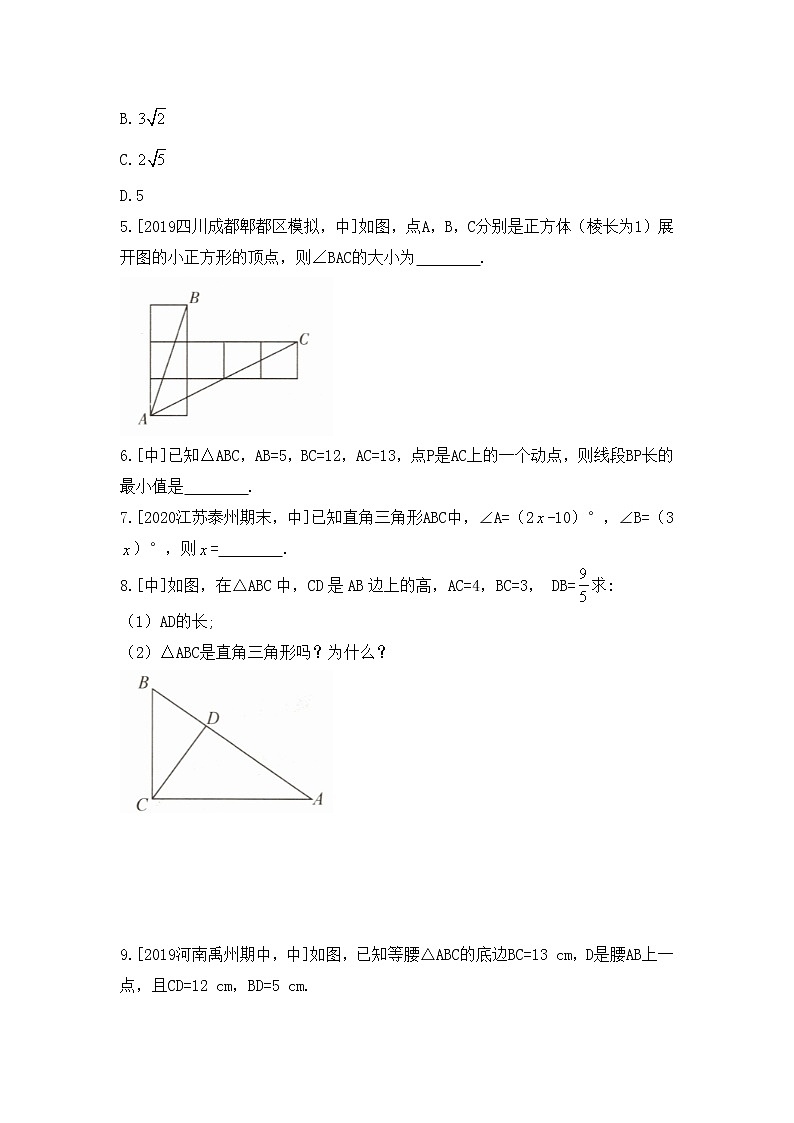 北师大版八年级数学下册《1.2.1_直角三角形的性质与判定》刷提升 试卷02