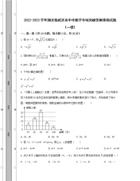 2022-2023学年湖北省武汉市中考数学专项突破仿真模拟试题（一模二模）含解析