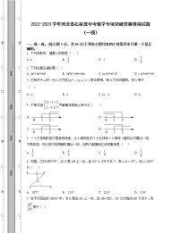 2022-2023学年河北省石家庄中考数学专项突破仿真模拟试题（一模二模）含解析