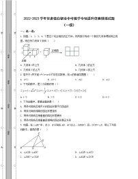 2022-2023学年甘肃省白银市中考数学专项提升仿真模拟试题（一模二模）含解析