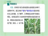 专题20.2 数据的波动程度（课件+练习）精编八年级数学下册同步备课系列（人教版）