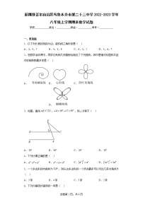 新疆维吾尔自治区乌鲁木齐市第二十三中学2022-2023学年八年级上学期期末数学试题