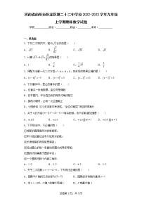 河南省南阳市卧龙区第二十二中学校2022-2023学年九年级上学期期末数学试题