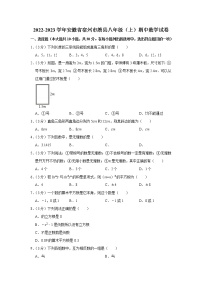 2022-2023学年安徽省宿州市萧县八年级（上）期中数学试卷