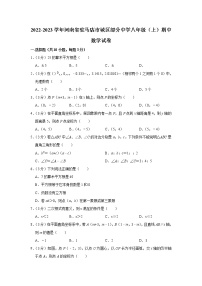 2022-2023学年河南省驻马店市城区部分中学八年级（上）期中数学试卷